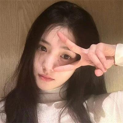 与森林共舞